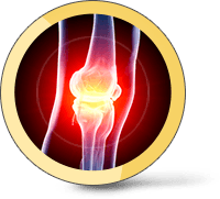 Knee  Condition and Procedure